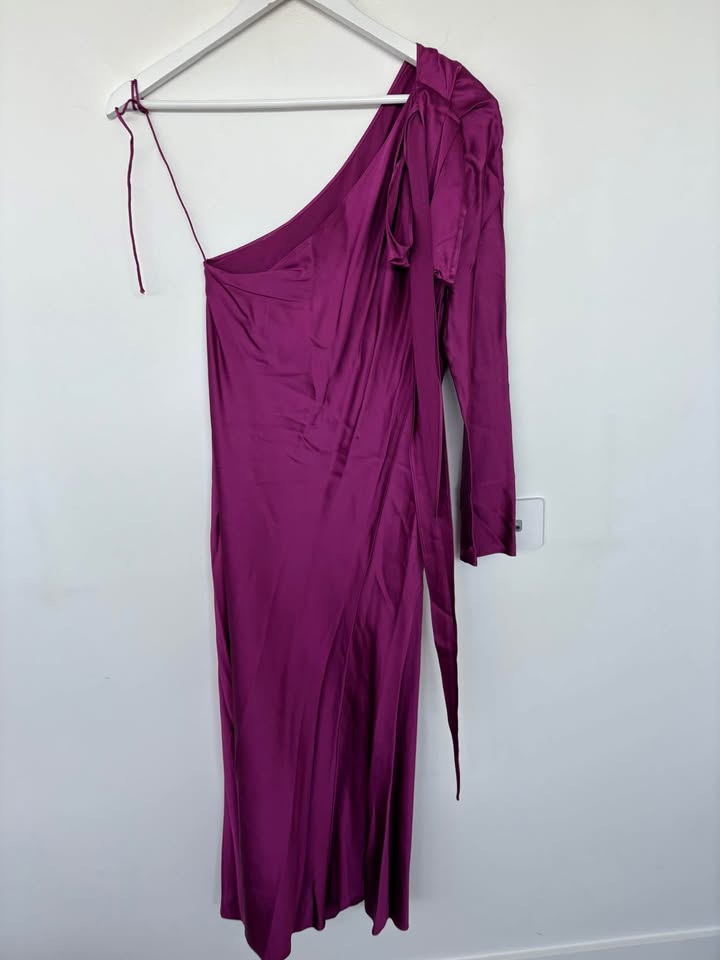 Scanlan Theodore Dress - size 10