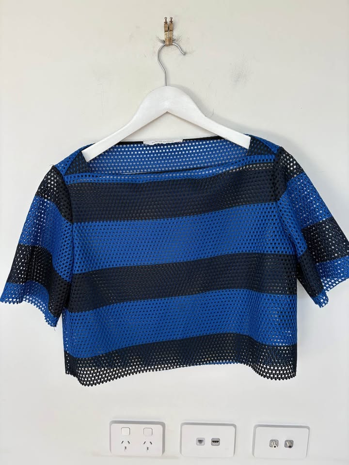 Scanlan Theodore Mesh Set - size S/M top and size 6 skirt