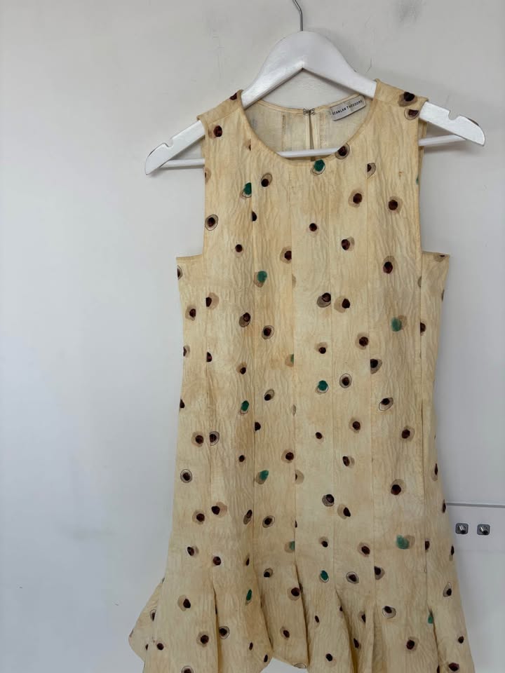 Scanlan Theodore Mini Dress - size 8