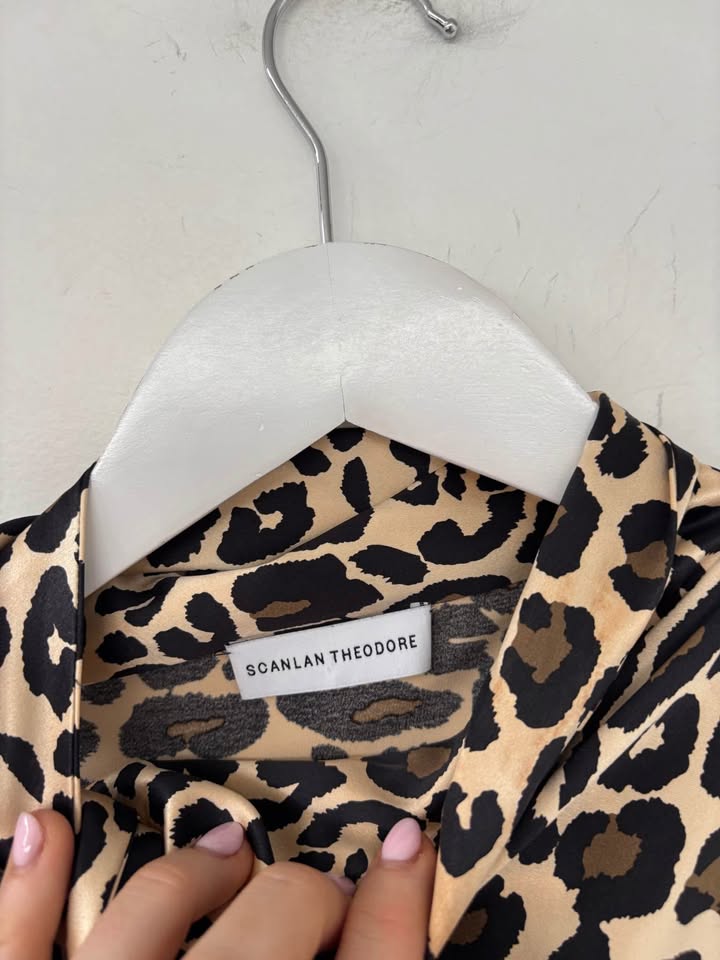 Scanlan Theodore Silk Dress - Size 10