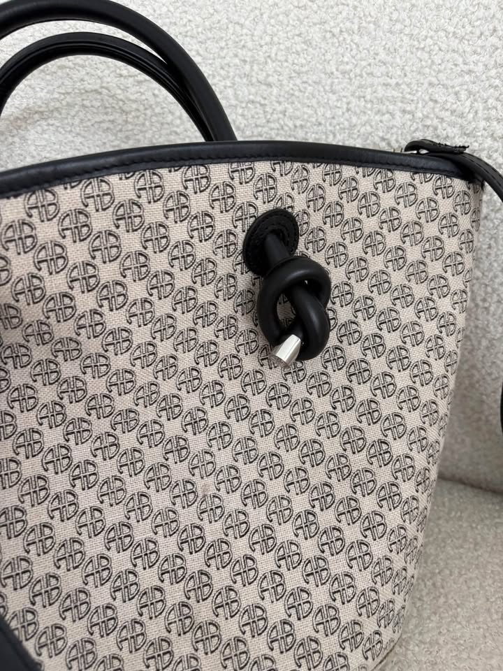 Anine Bing Bag