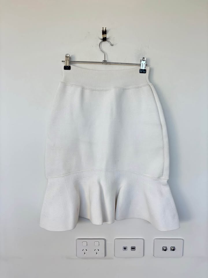 Scanlan Theodore Mini Skirt - Size Large