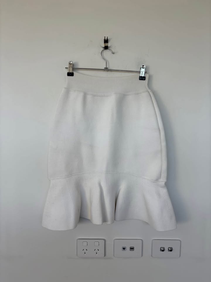Scanlan Theodore Mini Skirt - Size Large