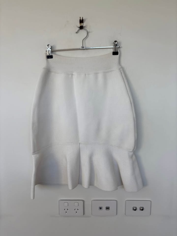 Scanlan Theodore Mini Skirt - Size Large