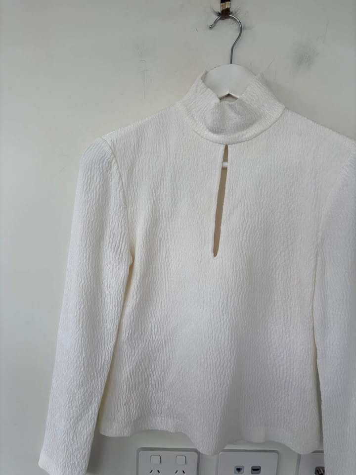 Scanlan Theodore Blouse - size 8