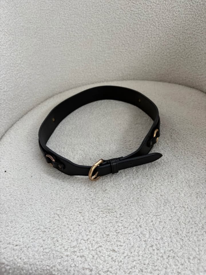 Scanlan Theodore Belt - size medium