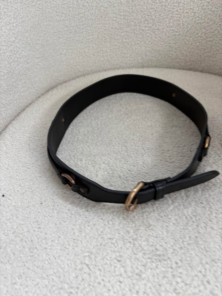 Scanlan Theodore Belt - size medium