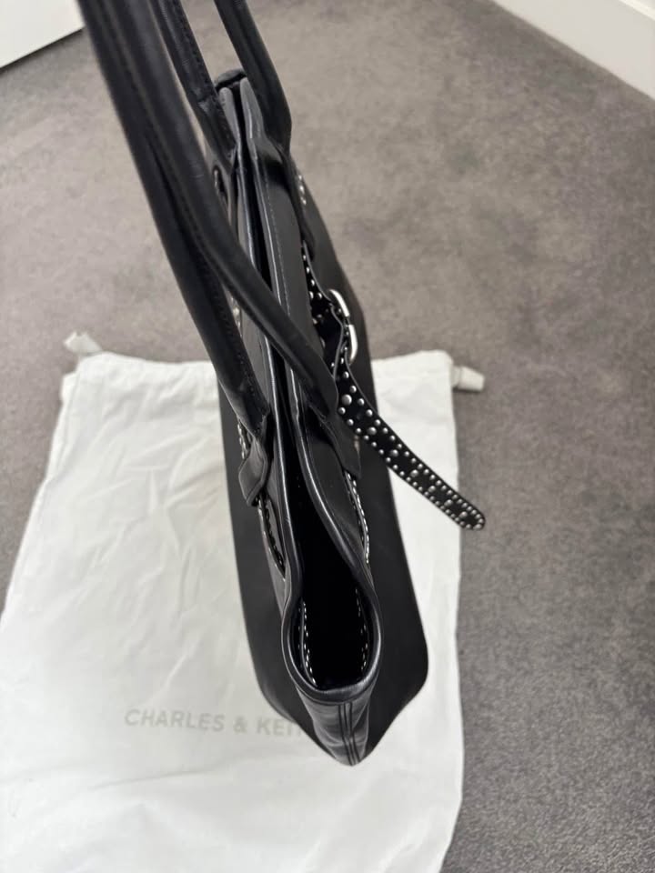 Charles & Keith Handbag