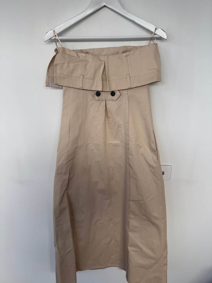 Zara Dress - size small