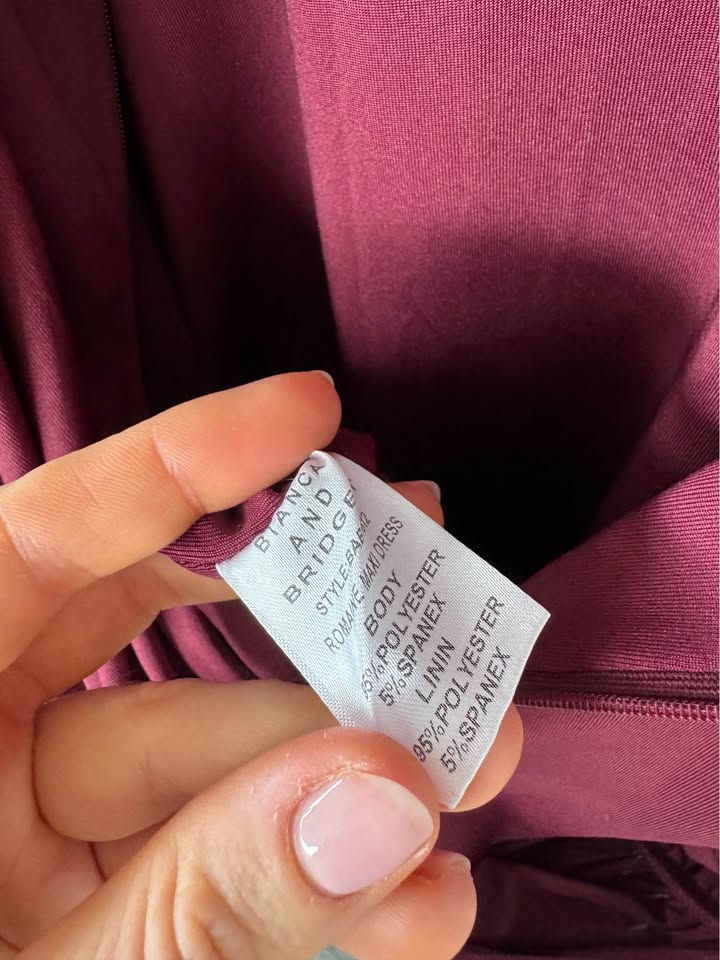 Bianca & Bridget Maxi Dress - size 6 BNWT