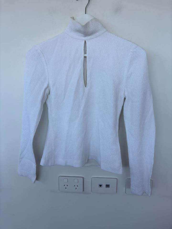 Scanlan Theodore Blouse - size 6