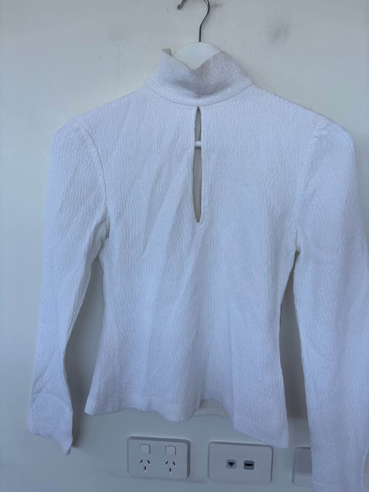 Scanlan Theodore Blouse - size 6