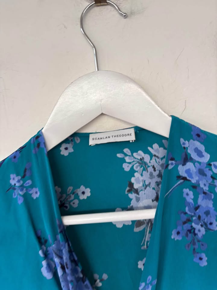 Scanlan Theodore Silk Dress - size 6