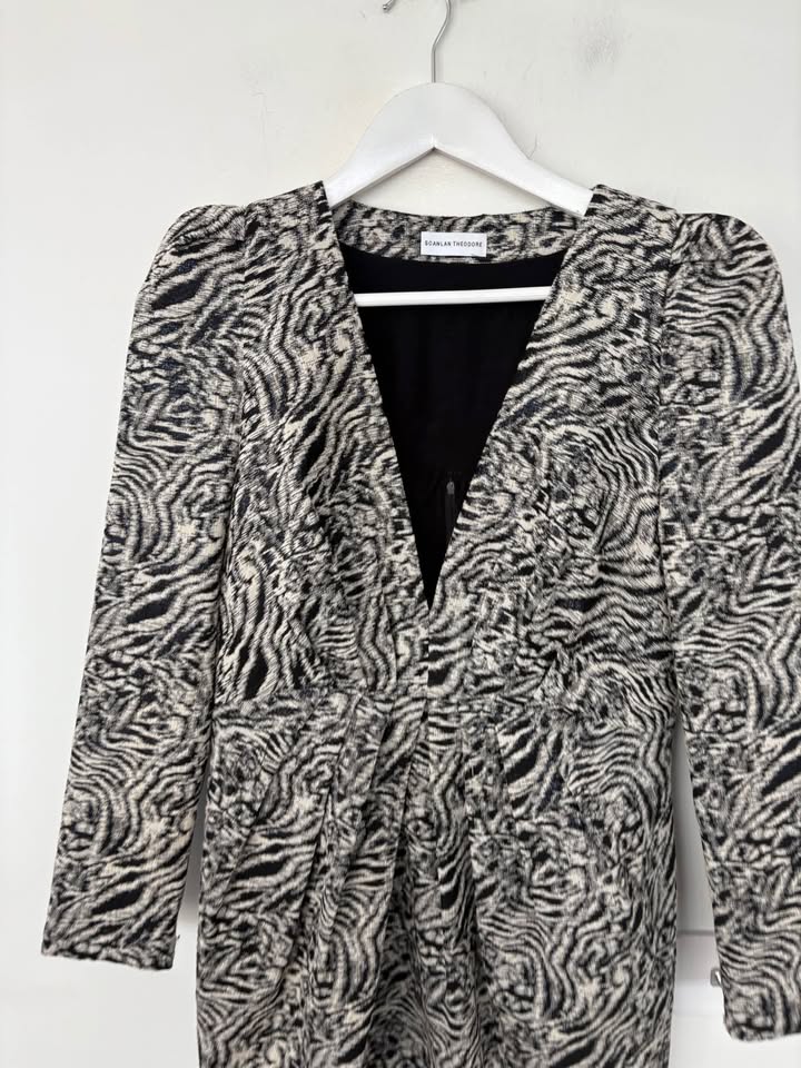 Scanlan Theodore Mini Dress - size medium