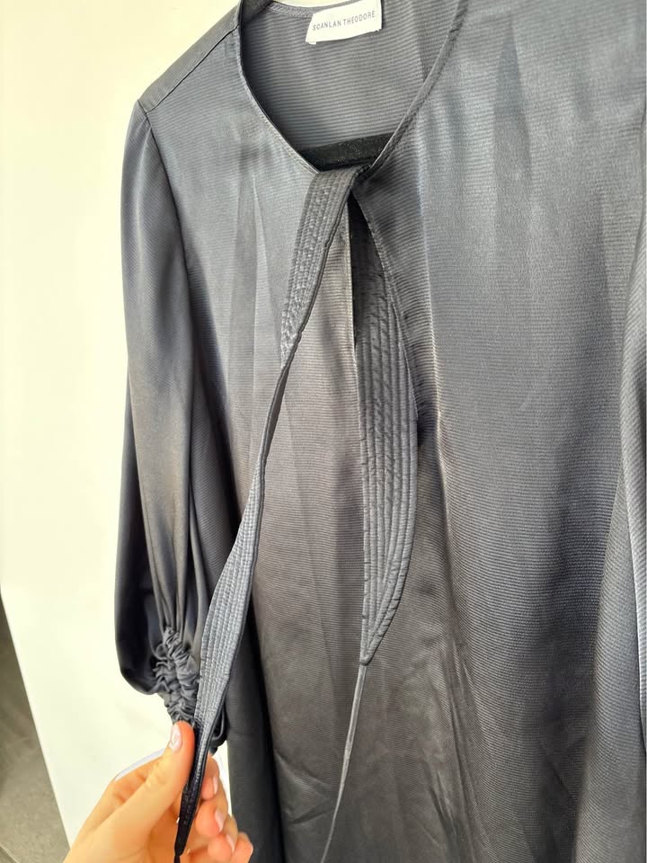 Scanlan Theodore Dress - size 10