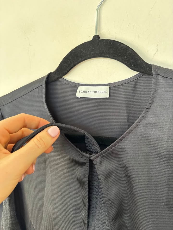 Scanlan Theodore Dress - size 10