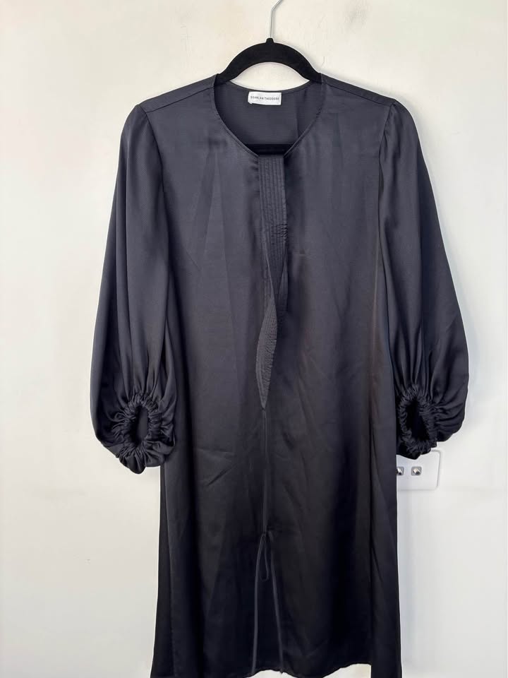 Scanlan Theodore Dress - size 10