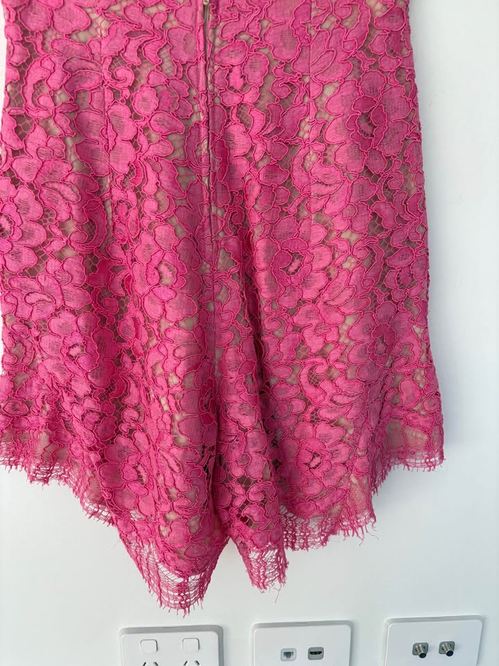 Scanlan Theodore Pink Lace Shorts - size 8