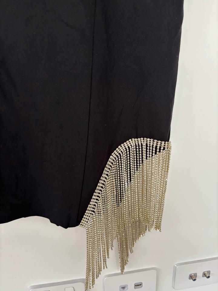 Diida Skirt - size 10 BNWT