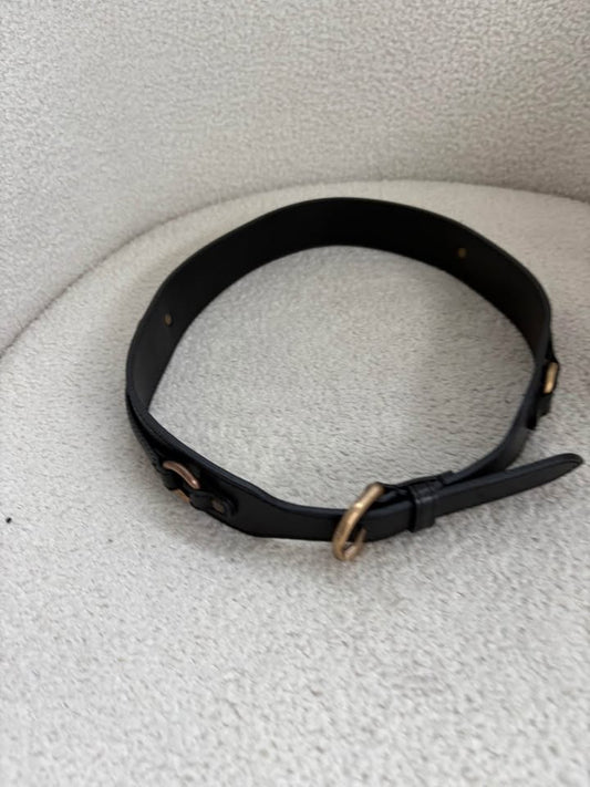 Scanlan Theodore Belt - size medium