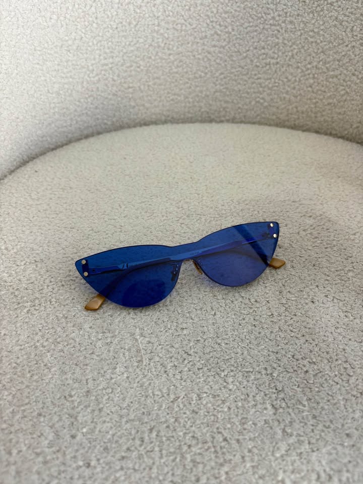 Scanlan Theodore Sunglasses