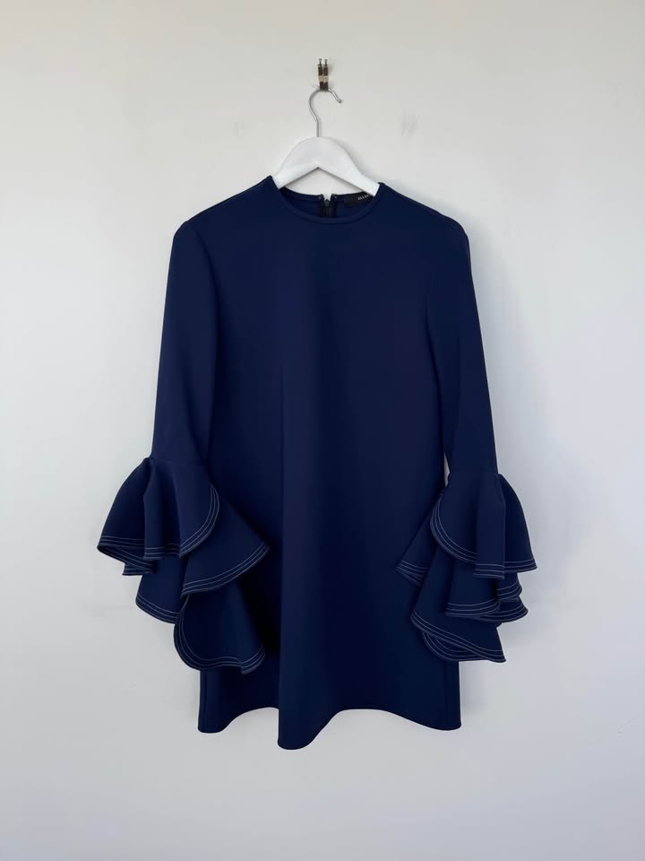 Ellery Dress - size 12