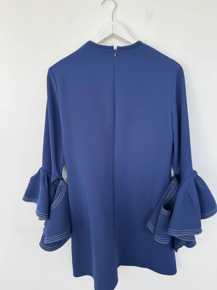 Ellery Dress - size 12