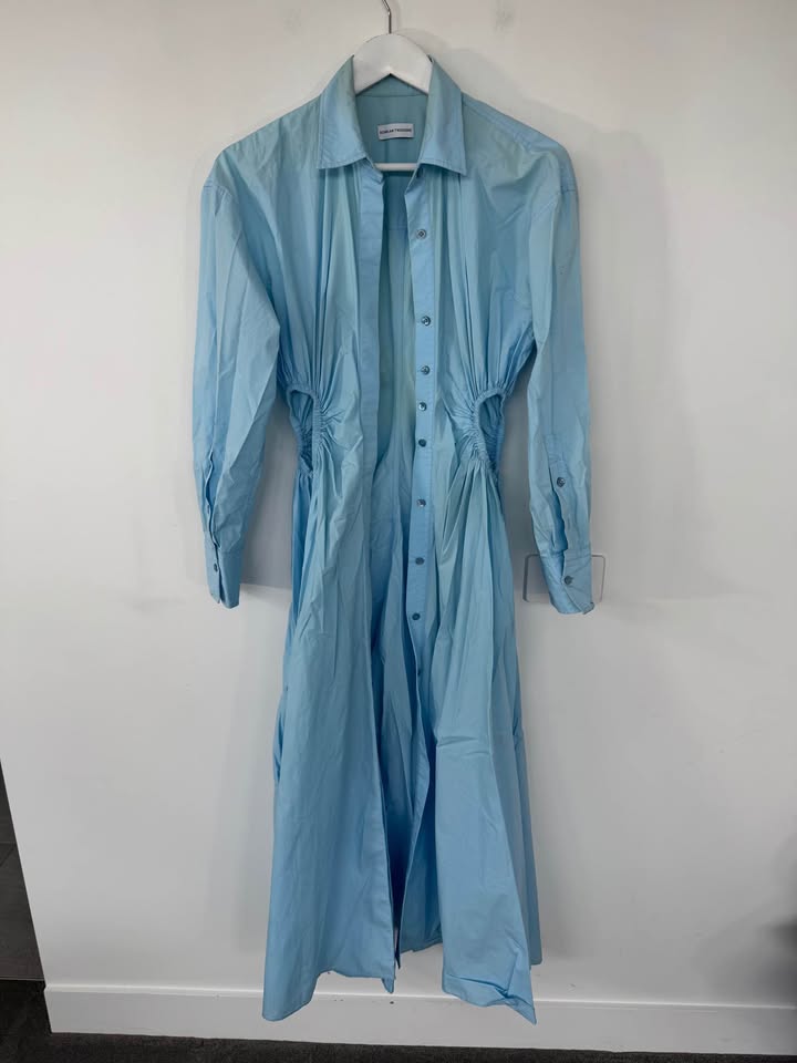Scanlan Theodore Dress - size 8