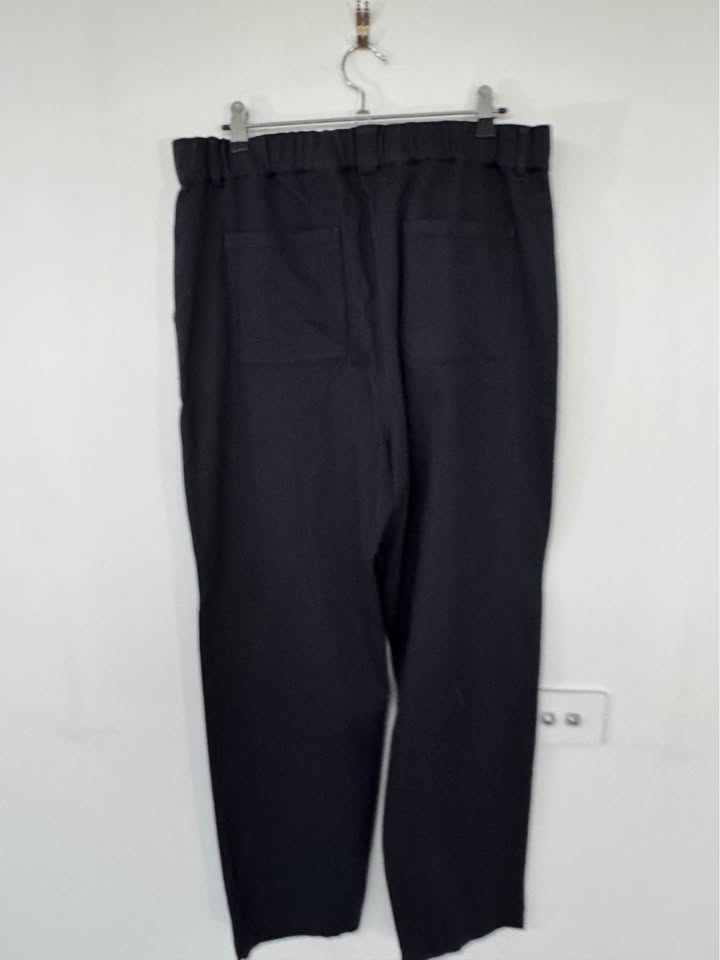 Scanlan Theodore Navy Pants - size 10