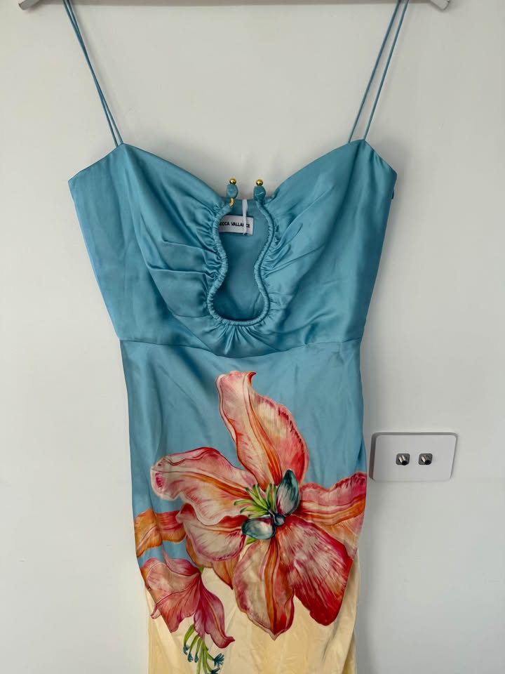 Rebecca Vallance Silky Maxi - size 8 BNWT