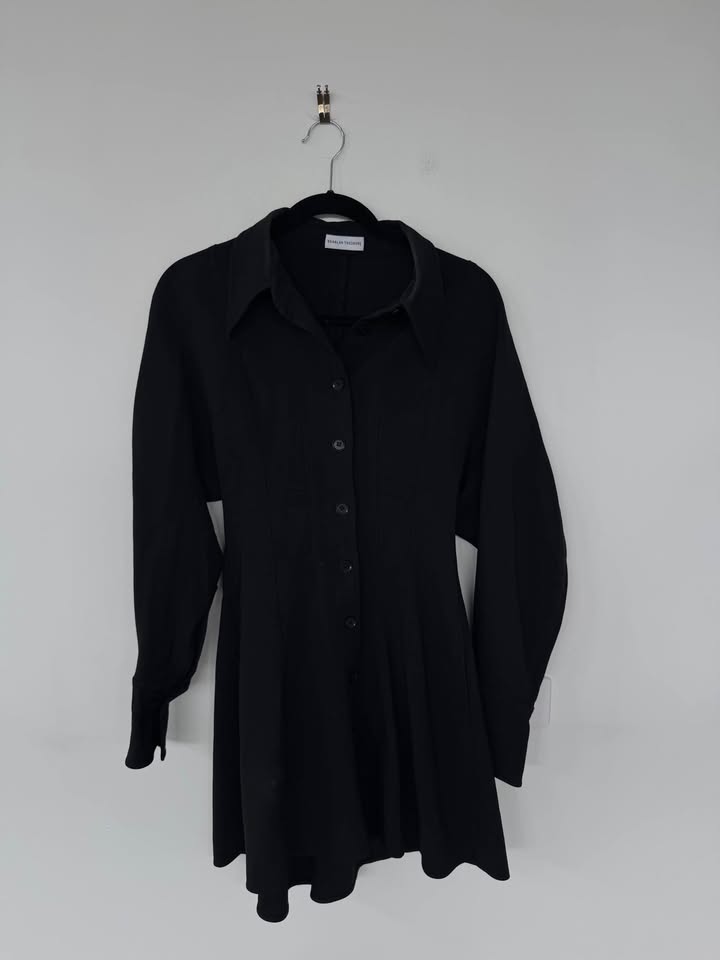 Scanlan Theodore Mini Dress - size 6
