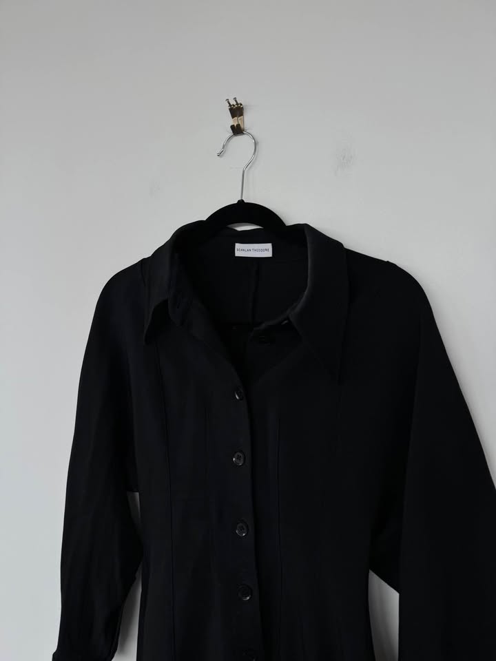 Scanlan Theodore Mini Dress - size 6