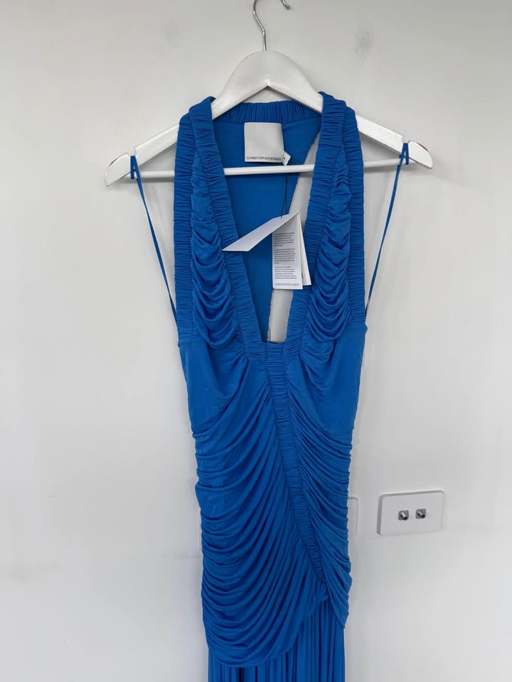Christopher Esber Dress - size 8 BNWT