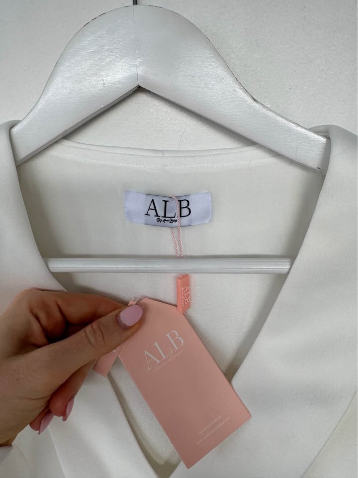 ALB Mini Dress - size medium BNWT
