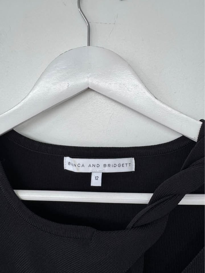 Bianca and Bridgett Dress - size 12