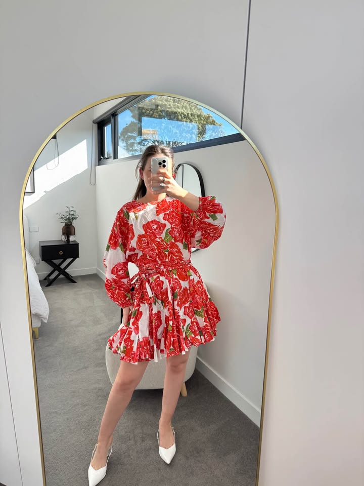 Rhode Mini Dress - size small