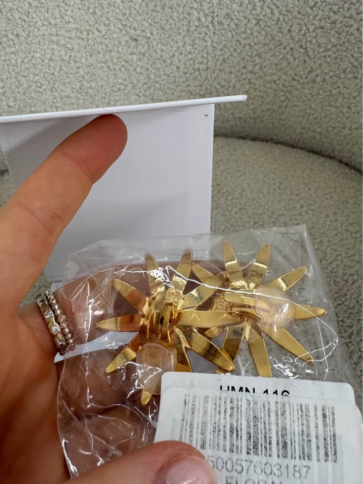 Heaven Mayhem Clip On Earrings BNWT