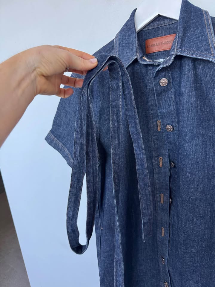 Scanlan Theodore Denim Dress - size 8