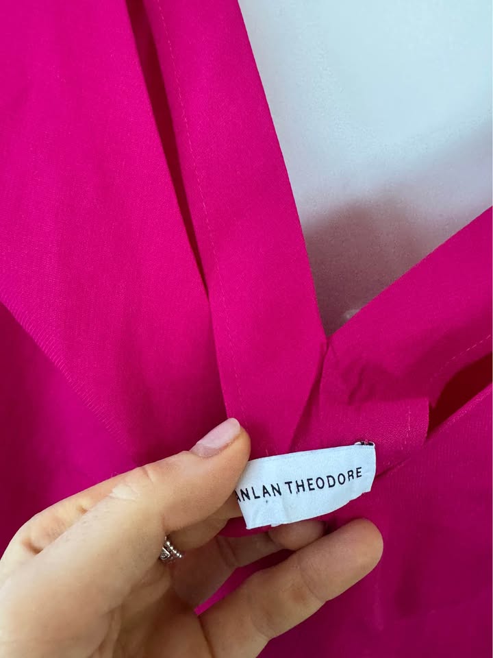 Scanlan Theodore Maxi Dress - size 6