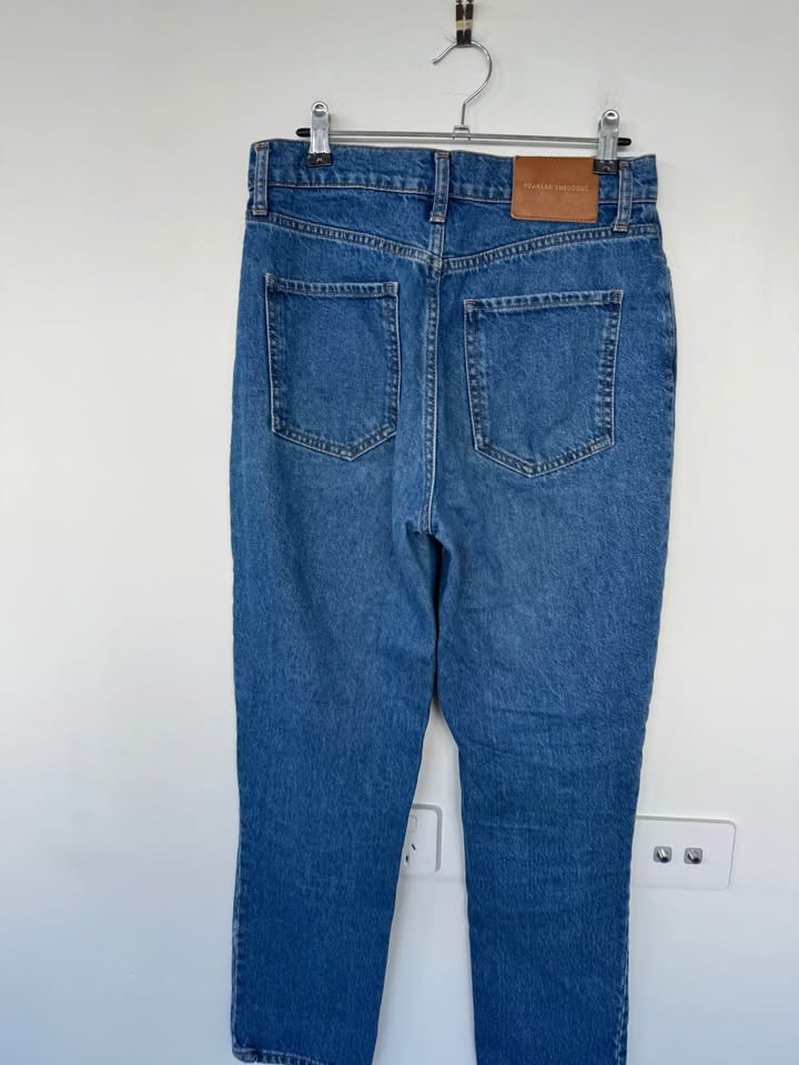 Scanlan Theodore Jeans - size 26